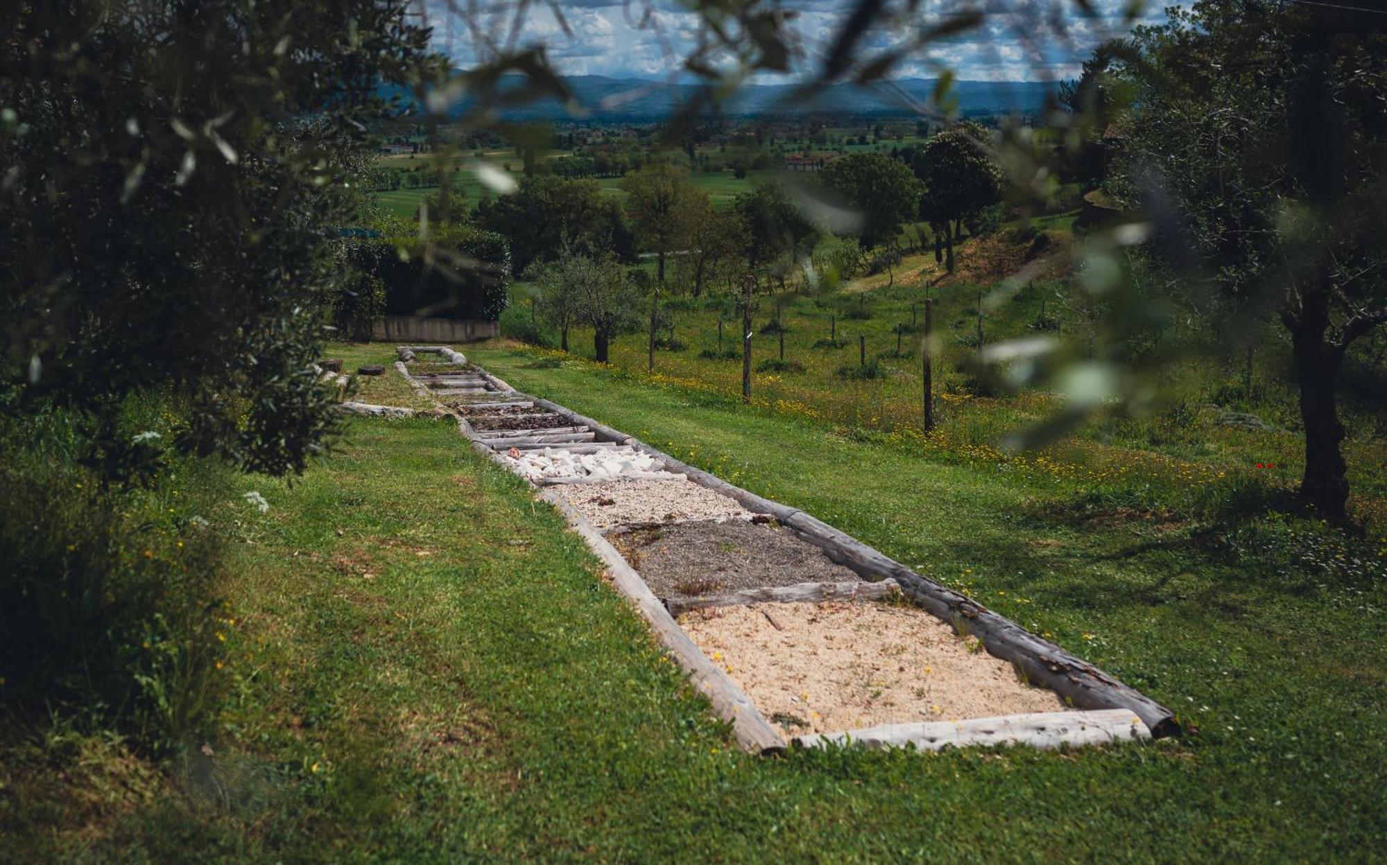 Agriturismo Podere Tovari Анґ'ярі Екстер'єр фото